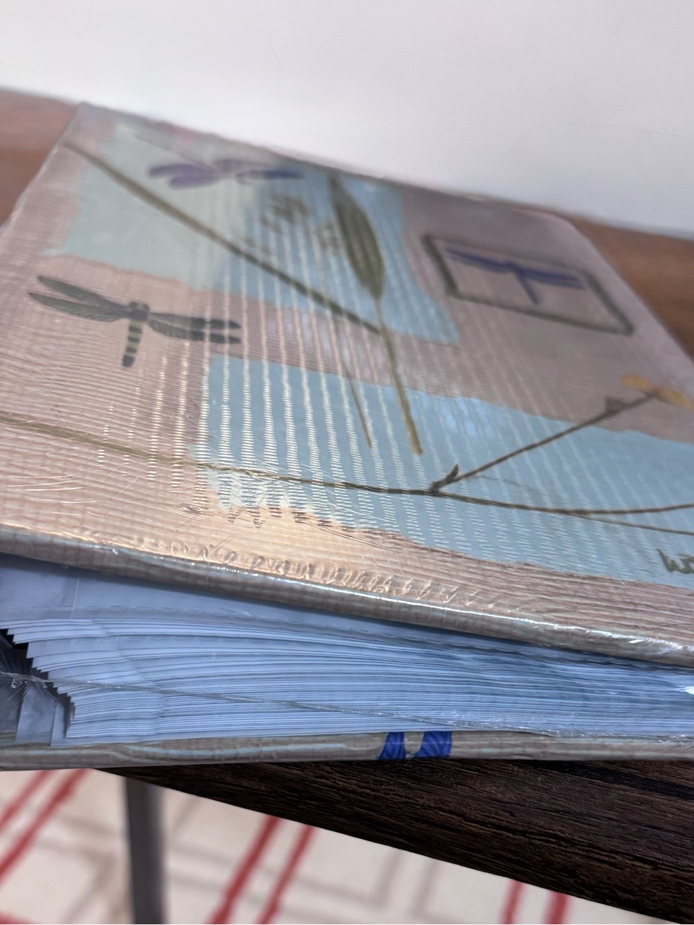 NWT DF Albums Dragonfly 300 Photo Slip-in Album 4x6 Acid Free